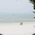 Zan_Zibar_parki_2012-1074