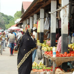 Zan_Zibar_parki_2012-1178