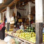 Zan_Zibar_parki_2012-1181