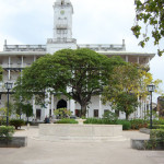 Zan_Zibar_parki_2012-1262