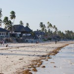 zanzibar1