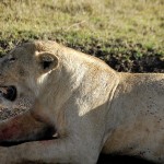 zanzibar_tanzania3