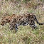 zanzibar_tanzania4