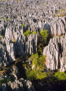 Tsingy de Bemaraha fot. wikipedia