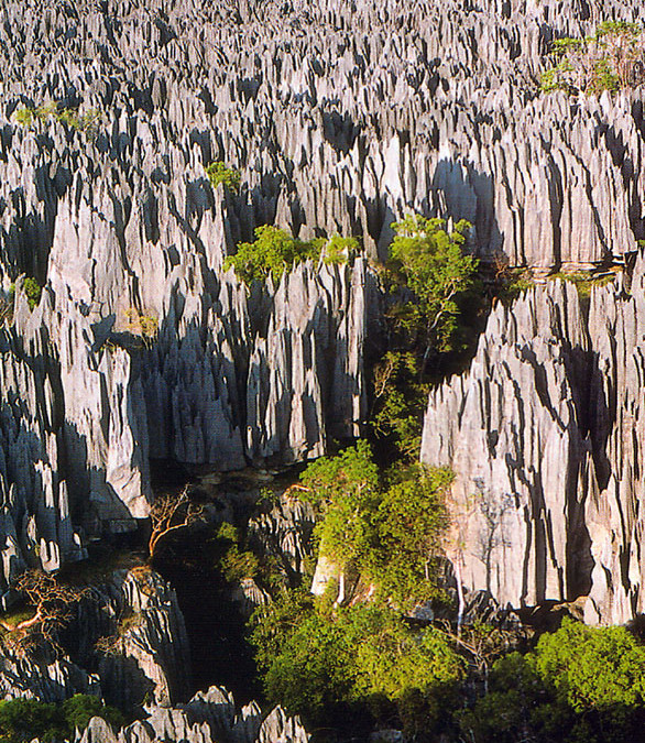Co zobaczyć na Madagaskarze?
